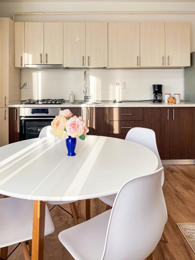 Uniquemoments Airport Apartment & Secure Parking & Airport Shuttle Iasi Ngoại thất bức ảnh